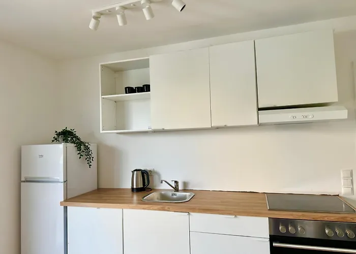 Modern Danube With Balcony & Free Parking * וינה