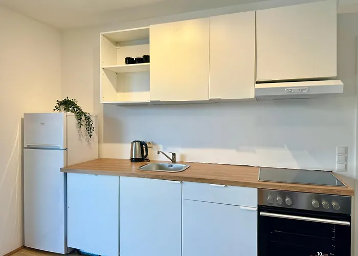 Modern Danube With Balcony & Free Parking Διαμέρισμα