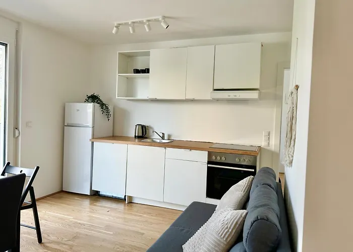 Modern Danube With Balcony & Free Parking וינה